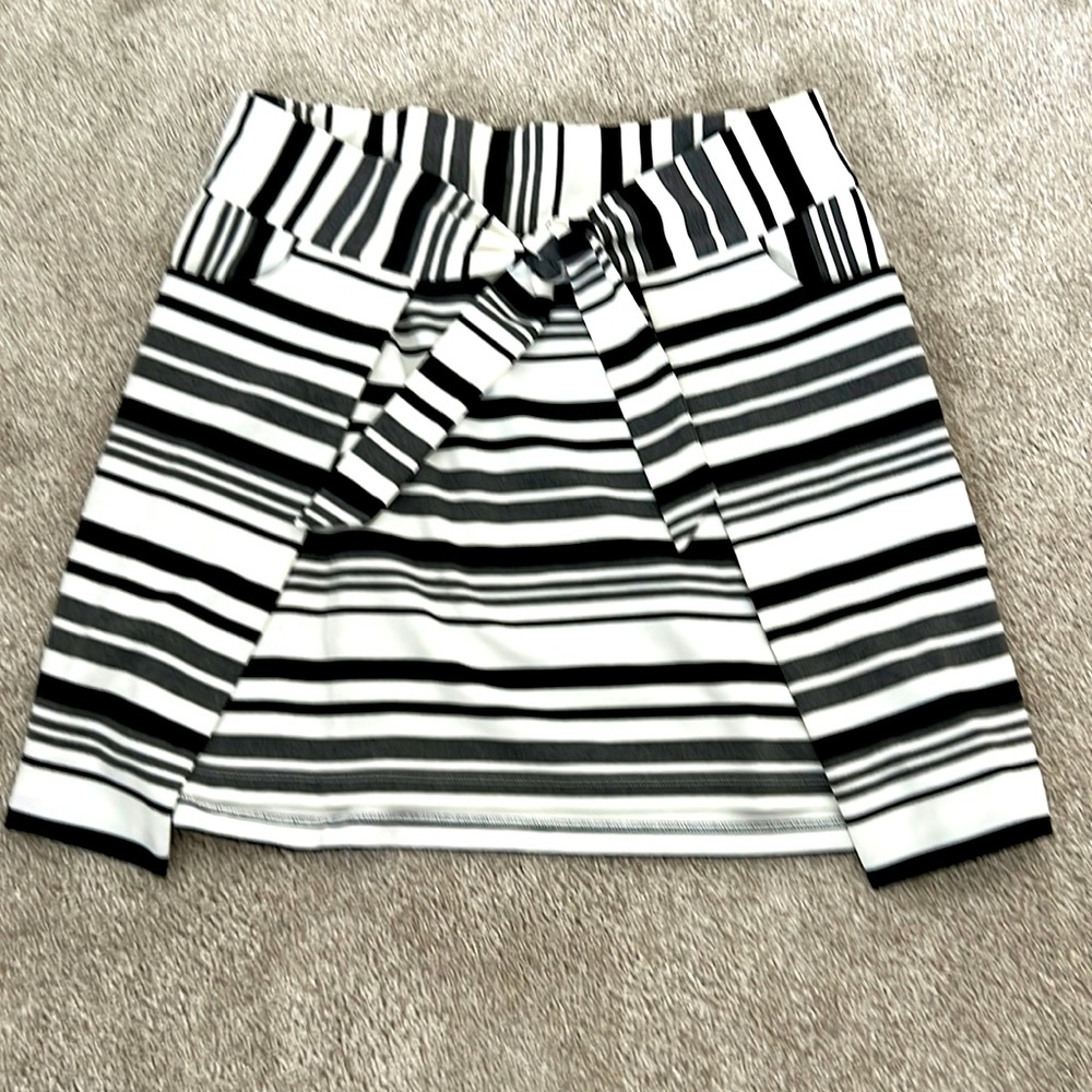 CAbi skirt